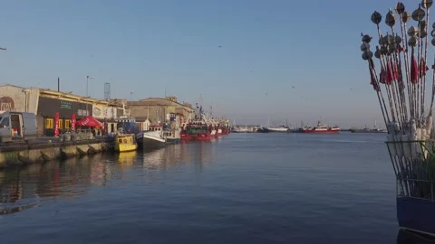 Fishing port Video stock 152738298