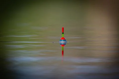 Fishing pose in the water Stock Photos