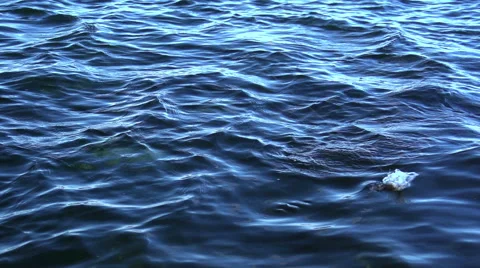 Fishing, pulling perch Stock Footage 54899039