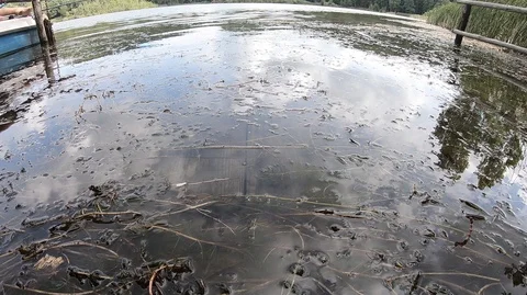 Fishing relaxation Stock Footage 93000165