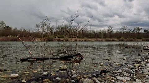 Fishing on the river in cloudy day Stock Footage 221107143