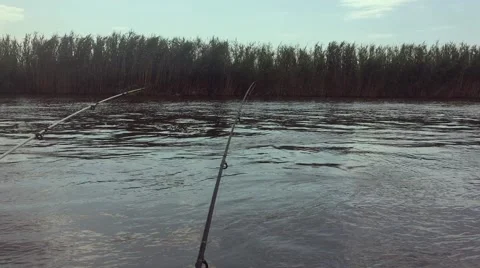 Fishing on the river in the first person, 2 fishing rods, reeds and blue sky. Video stock 68810863