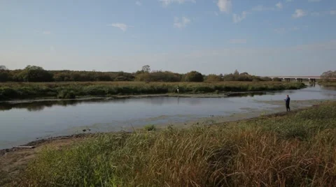 Fishing on the river Video stock 48910971