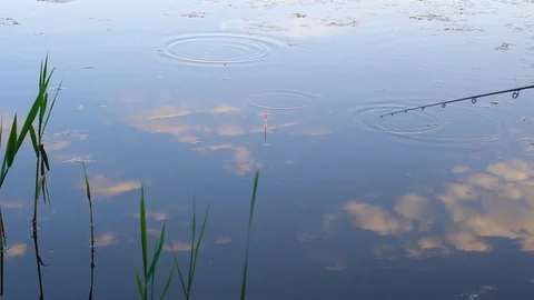 Fishing on the river. Stock Footage 89976322