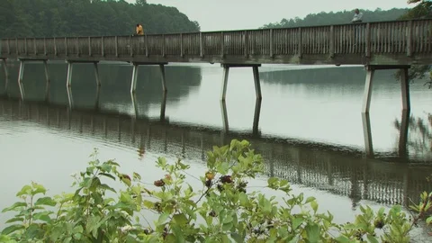 Fishing on the River Stock Footage 123921595