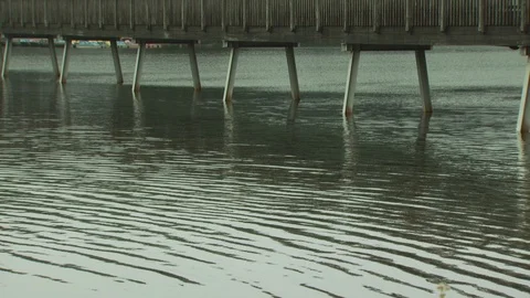 Fishing on the River Stock Footage 123921751