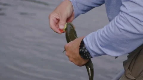 Fishing on a river Stock Footage 137536005