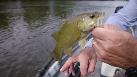 Fishing on a river Stock Footage 137537540