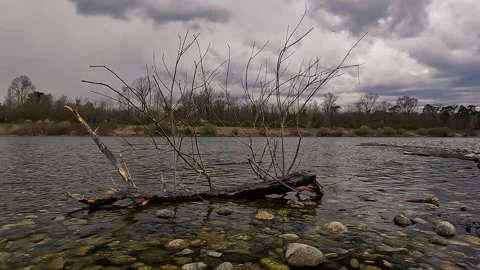 Fishing on the river Stock Footage 202379776