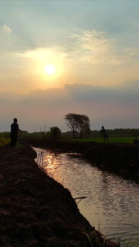 Fishing in the river Stock Footage 287499368
