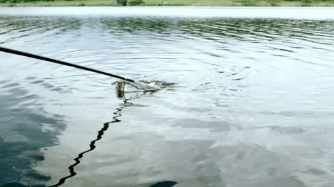 Fishing in river with a net. Fish splashing in net. Summer fishing Stock Footage 77758286