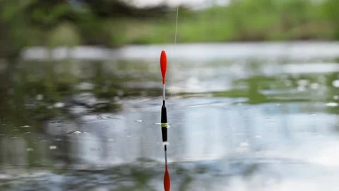 Fishing on a river or lake. The float is moving in the waves. Fish grabs bait Stock Footage 130691918