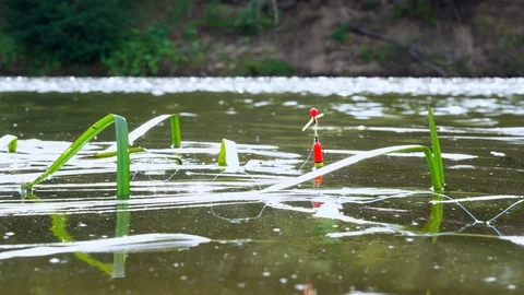 Fishing in the river. Red float with fishing line on the surface of the water Stock Footage 117933883