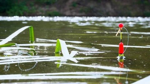 Fishing in the river. Red float with fishing line on the surface of the water Stock Footage 117933949