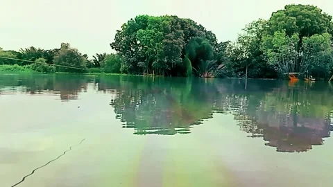 Fishing in the river,timelapse Stock Footage 202025010