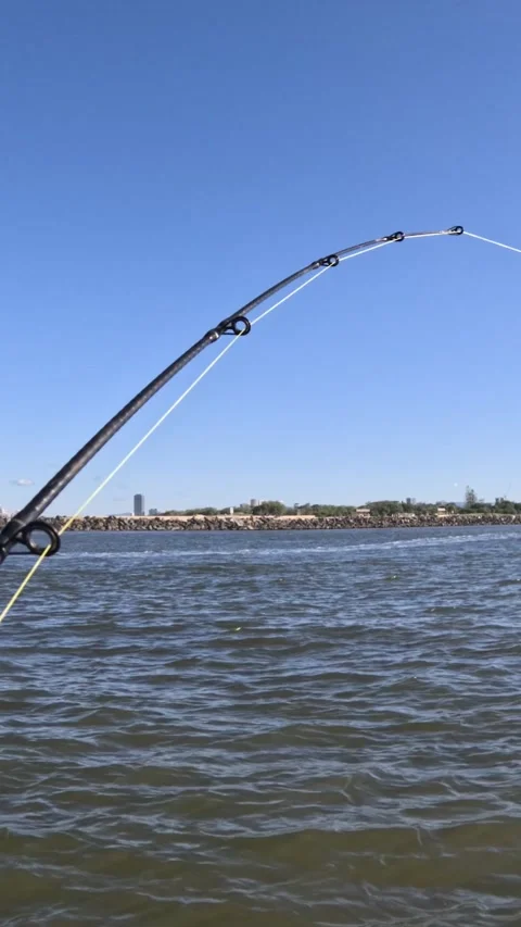Fishing Rod Casting Sequence on Lake 動画素材 305535039
