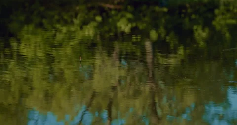 Fishing rod float on rippled water surface of small pond in forest, closeup view Stock Footage 200733385