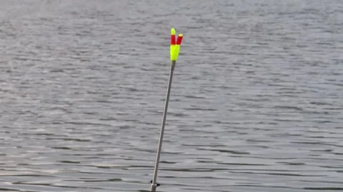 Fishing rod float waiting for a fish to bite Vidéo 310310227