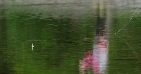 Fishing rod float in the water Stock Footage 132343995