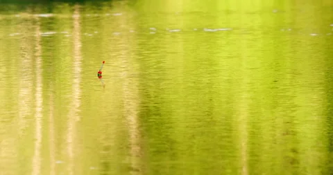 Fishing rod float in the water Stock Footage 132344233