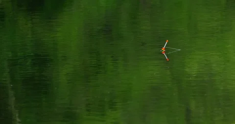 Fishing rod float in the water Stock Footage 132345990