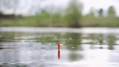 Fishing rod float in the water Stock Footage 133630844