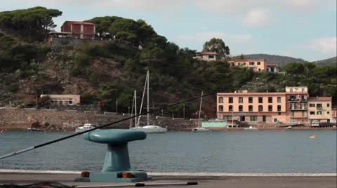 Fishing Rod Video stock 8991418