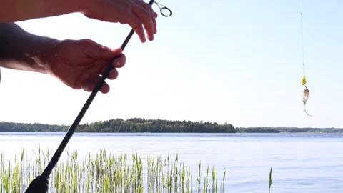 Fishing rod Stock Footage 247738547