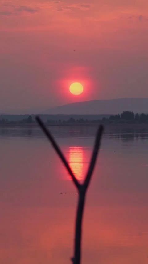 A fishing rod holder made from a tree branch. Fishing at sunset on a quiet lake. Stock Footage 267647090