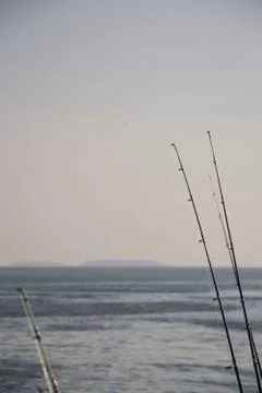 Fishing Rod Stock Photos