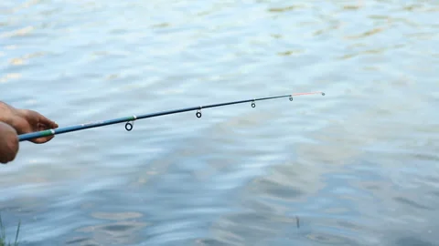 Fishing with rod on the river Stock Footage 90086662