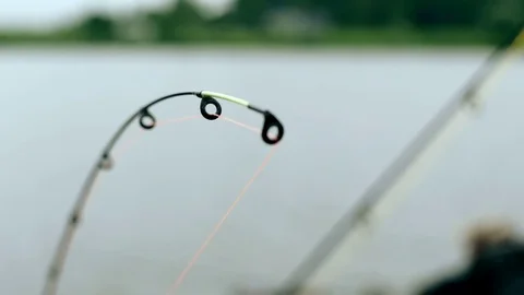 Fishing rod on river in a summer day. Fishpond waiting for fish Stock Footage 77828579