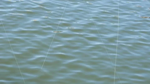 Fishing rod tip and line waiting for a fish bite on the water surface Stock Footage 340450931