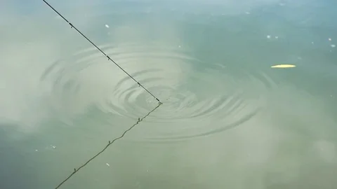 Fishing rod tip on the surface of the water Video stock 85039958