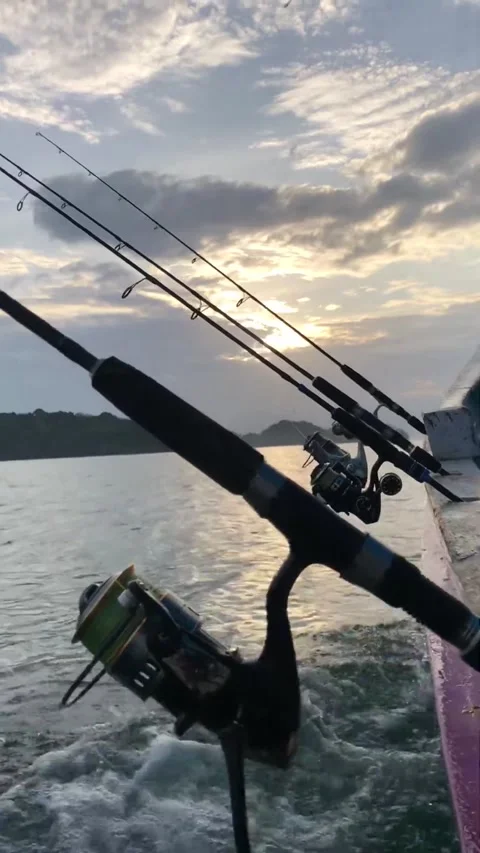 Fishing rods with different angles Stock Footage 220483683