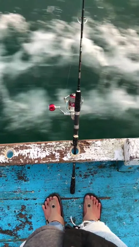 Fishing rods with different angles Stock Footage 220483686