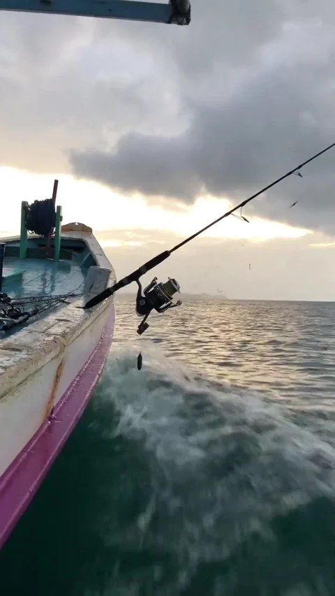 Fishing rods with different angles Stock Footage 220483693