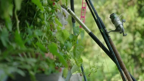 Fishing rods leaned against the wall, Serbian village, Temska Stock-Footage 236704422