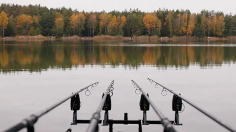 Fishing rods lined up on rod holders pointing toward calm lake with autumn Stock Footage 325457347