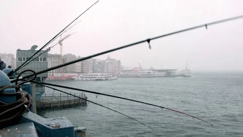 Fishing rods moving Stock Footage 148819261