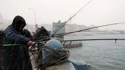 Fishing rods moving Stock Footage 149029397