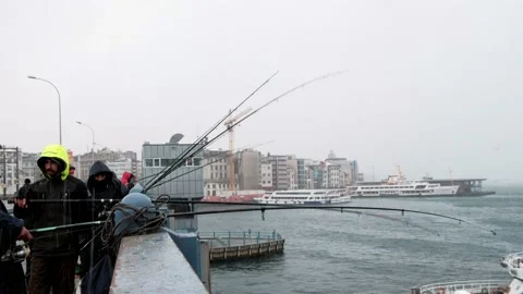 Fishing rods moving Vidéo 149029495