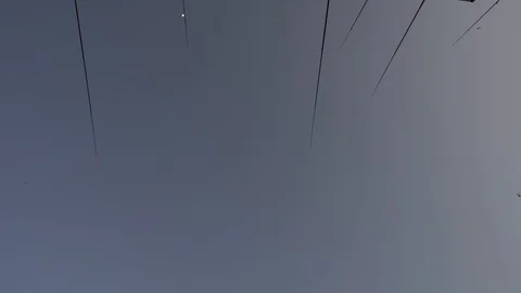 Fishing rods over a bridge Stock Footage 88322985