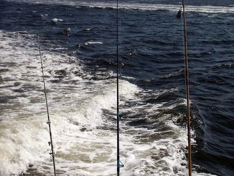 Fishing Rods Foto stock