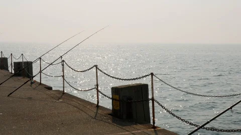 Fishing rods in the sea Stock Footage 115833558