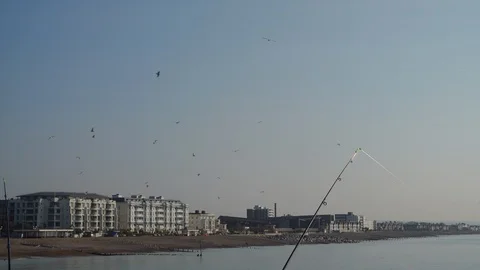 Fishing rods -seagulls 스톡 동영상 100155583