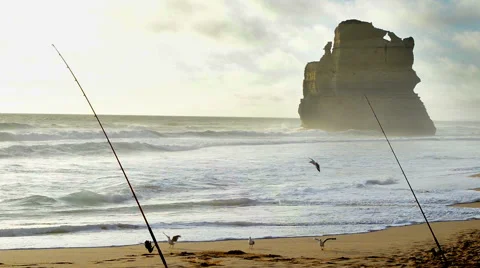 Fishing rods set up on beach shore at sunset Stock Footage 57250657
