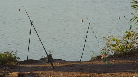 Fishing rods thrown into the river stand on the bank on stands Stock Footage 174304649
