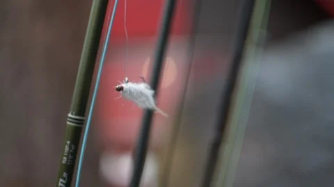 Fishing rods with white fly 動画素材 90076829