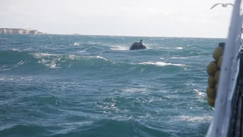 Fishing rubber boat jumping on waves. 20160131091642 186 1 Video stock 130356429